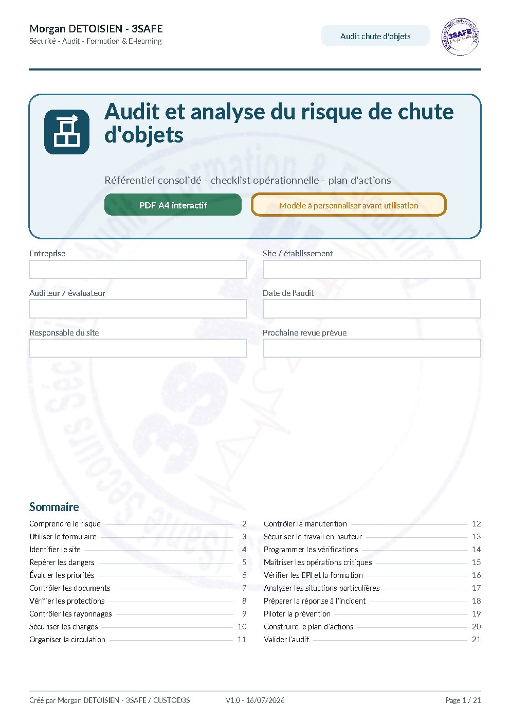 Aperçu de Audit Chute Objets Formulaire Interactif