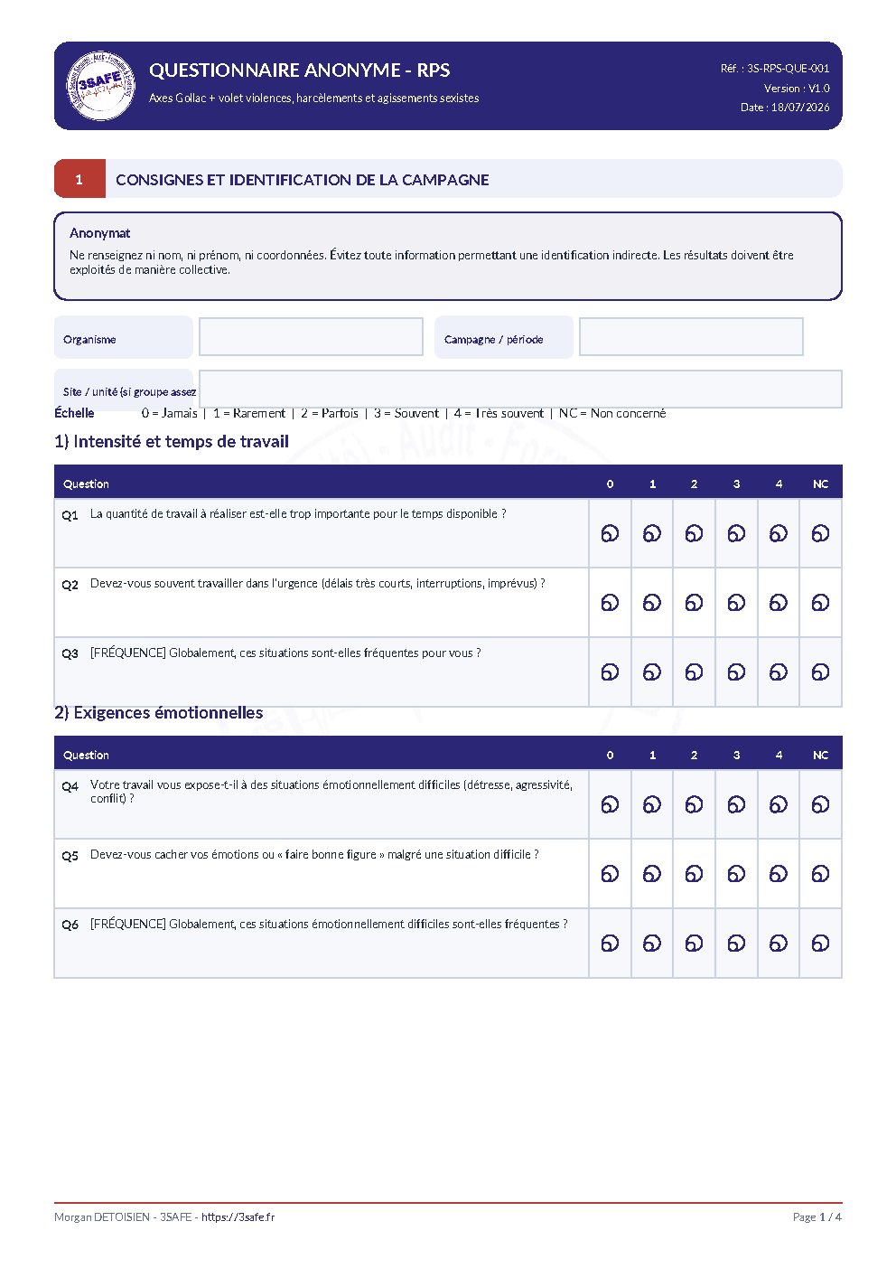 Aperçu de Questionnaire Anonyme RPS