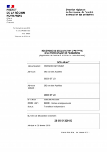 recepisse_DA28500132950_1
